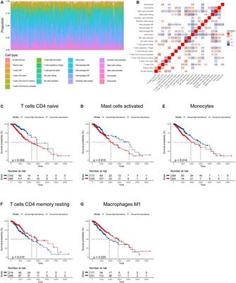 Immune Infiltration-Related Signature Predicts Risk Stratification and Immunotherapy Efficacy in Grade II and III Gliomas